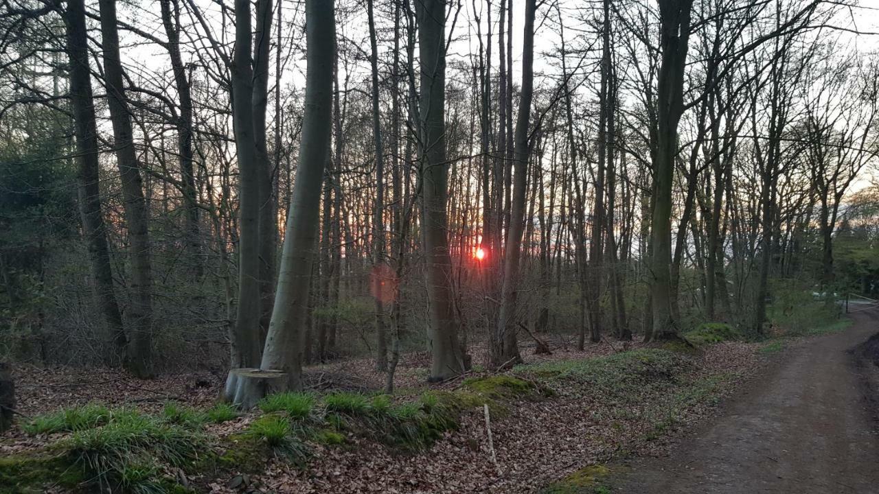 Moin, Moin & Ahoi! Apartman Kiel Kültér fotó