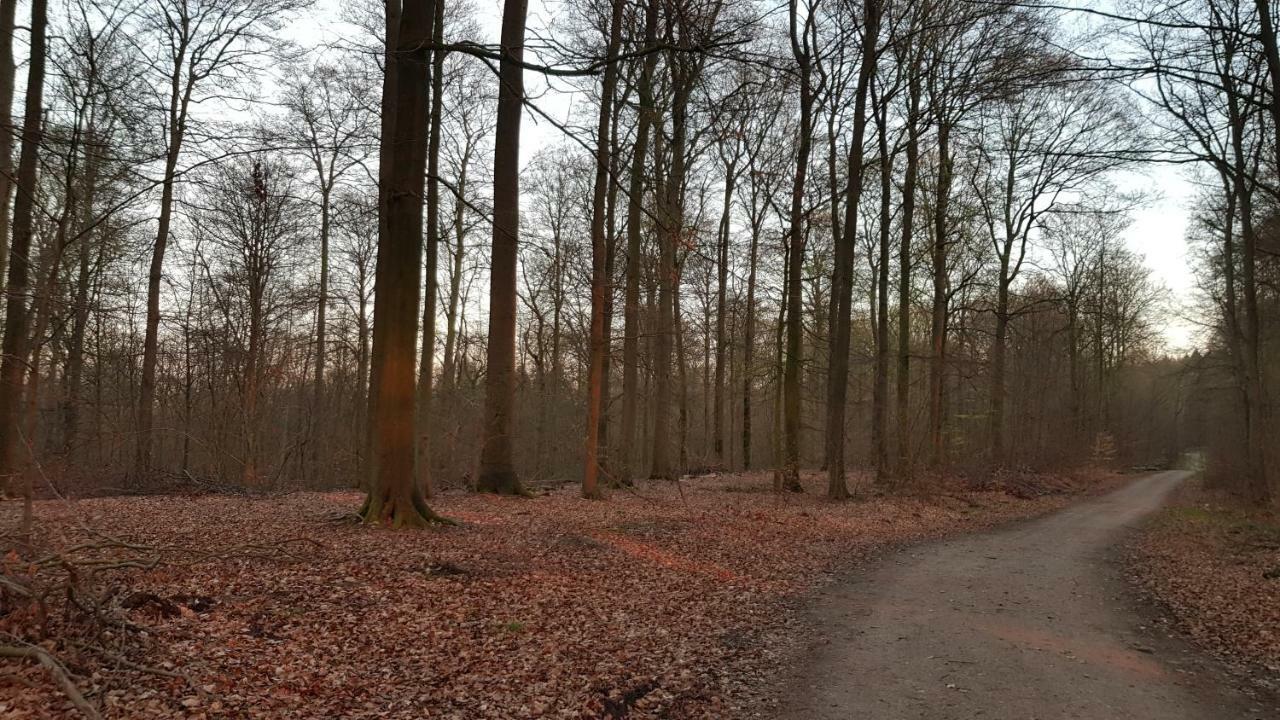 Moin, Moin & Ahoi! Apartman Kiel Kültér fotó